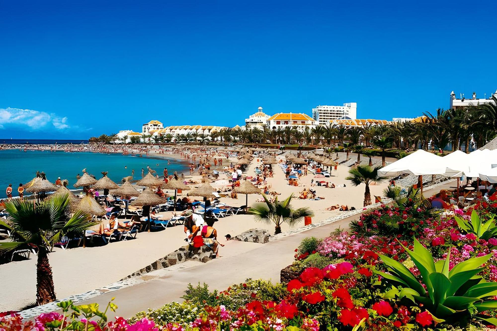 At 30 Mts From Sea Playa de las Americas (Tenerife)